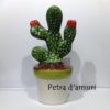 Cactus in Ceramica H 15